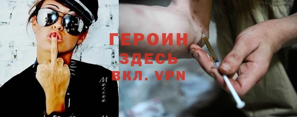 шишки Надым