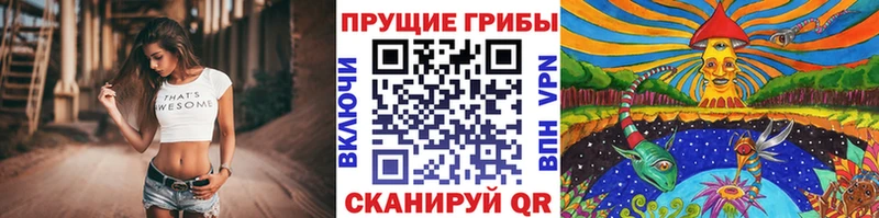 что такое наркотик  mega ССЫЛКА  Галлюциногенные грибы ЛСД  Галич 